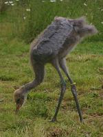 Green Yellow Blue on 3rd July 2012 Green Yellow Blue on 3rd July 2012